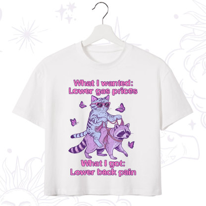 Purplehecate Lower Gas Prices Lower Back Pain Cat Crop T-Shirt