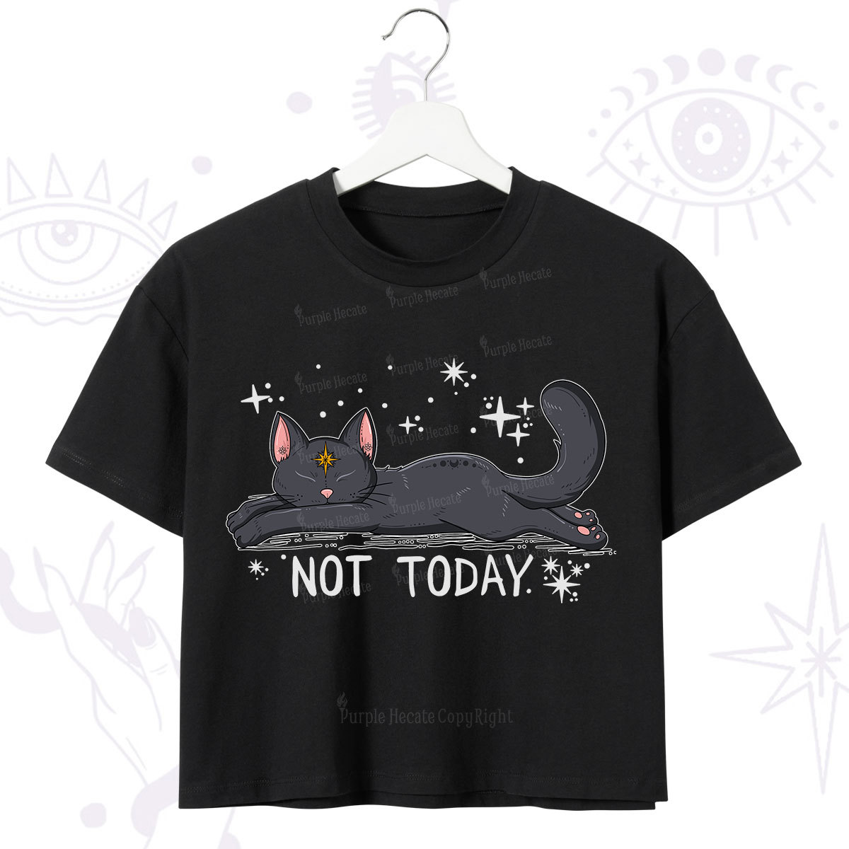 Purplehecate Not Today Cat Crop T-Shirt