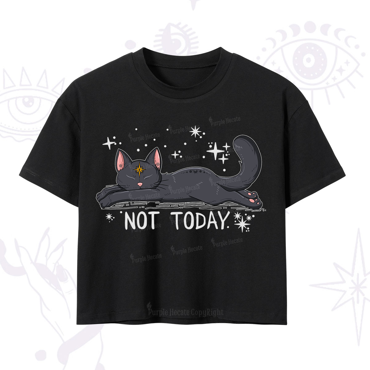 Purplehecate Not Today Cat Crop T-Shirt