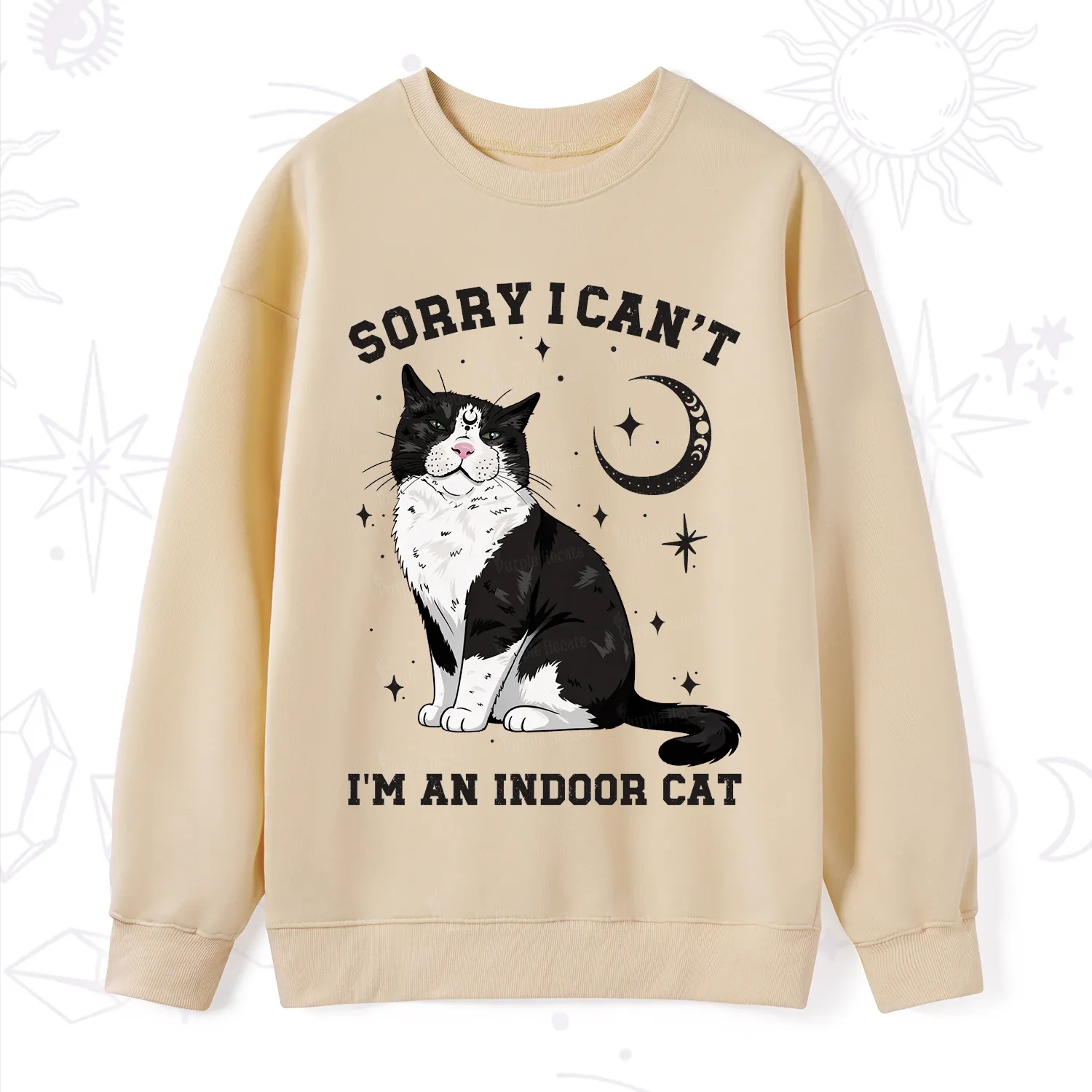 Purplehecate Sorry I Can't Go I'm an Indoor Cat Sweatshirt