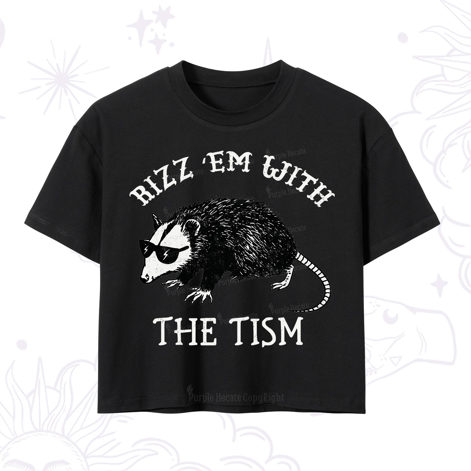 Purplehecate Rizz Em With The Tism Opossum Crop T-Shirt