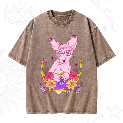 Purplehecate Moon Phase Cat Washed T-Shirt