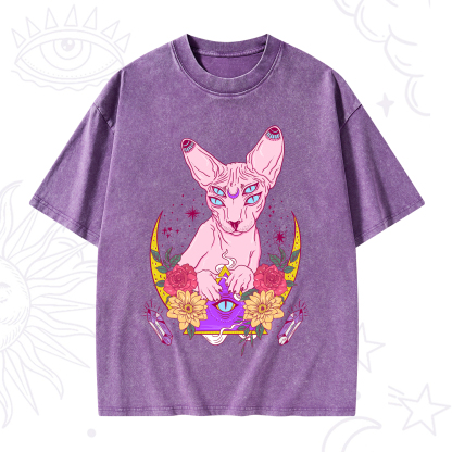 Purplehecate Moon Phase Cat Washed T-Shirt