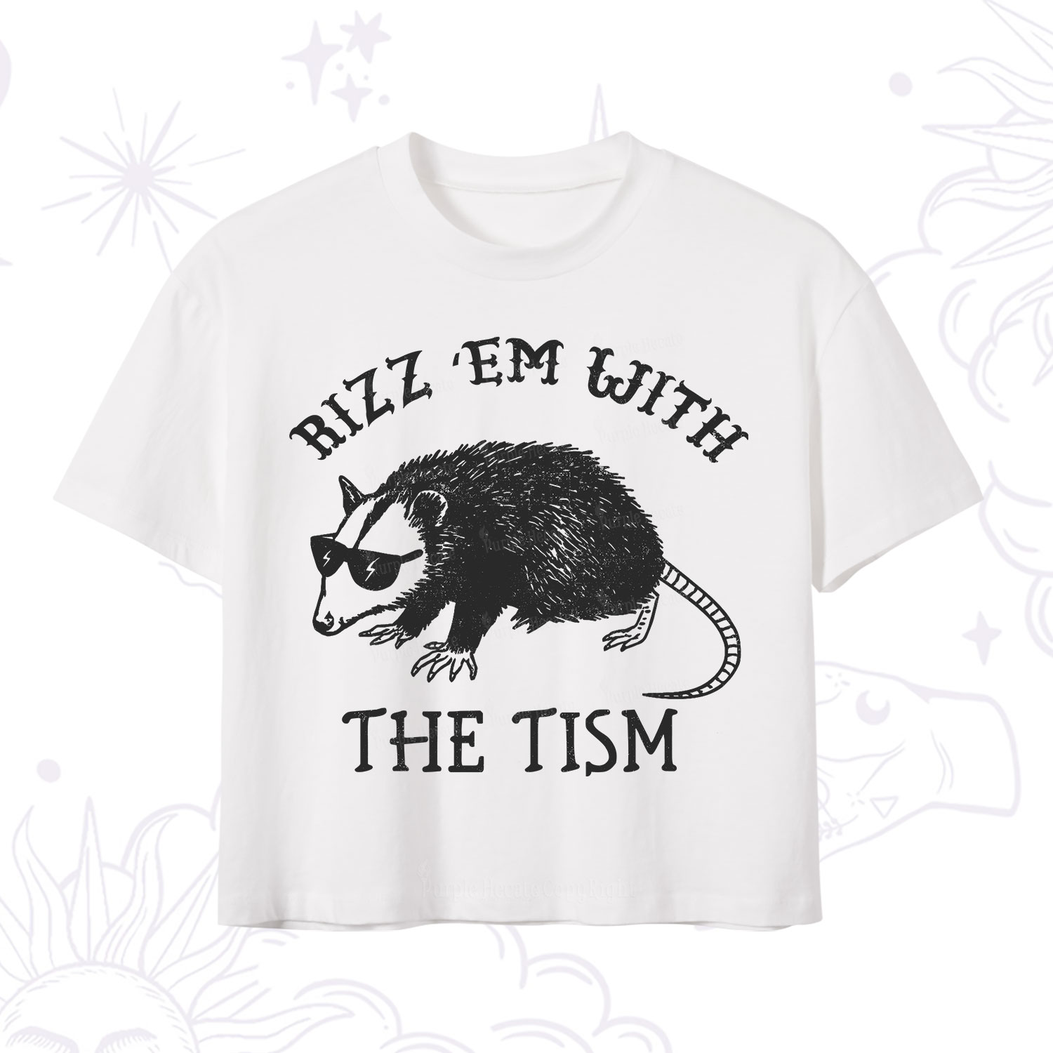 Purplehecate Rizz Em With The Tism Opossum Crop T-Shirt