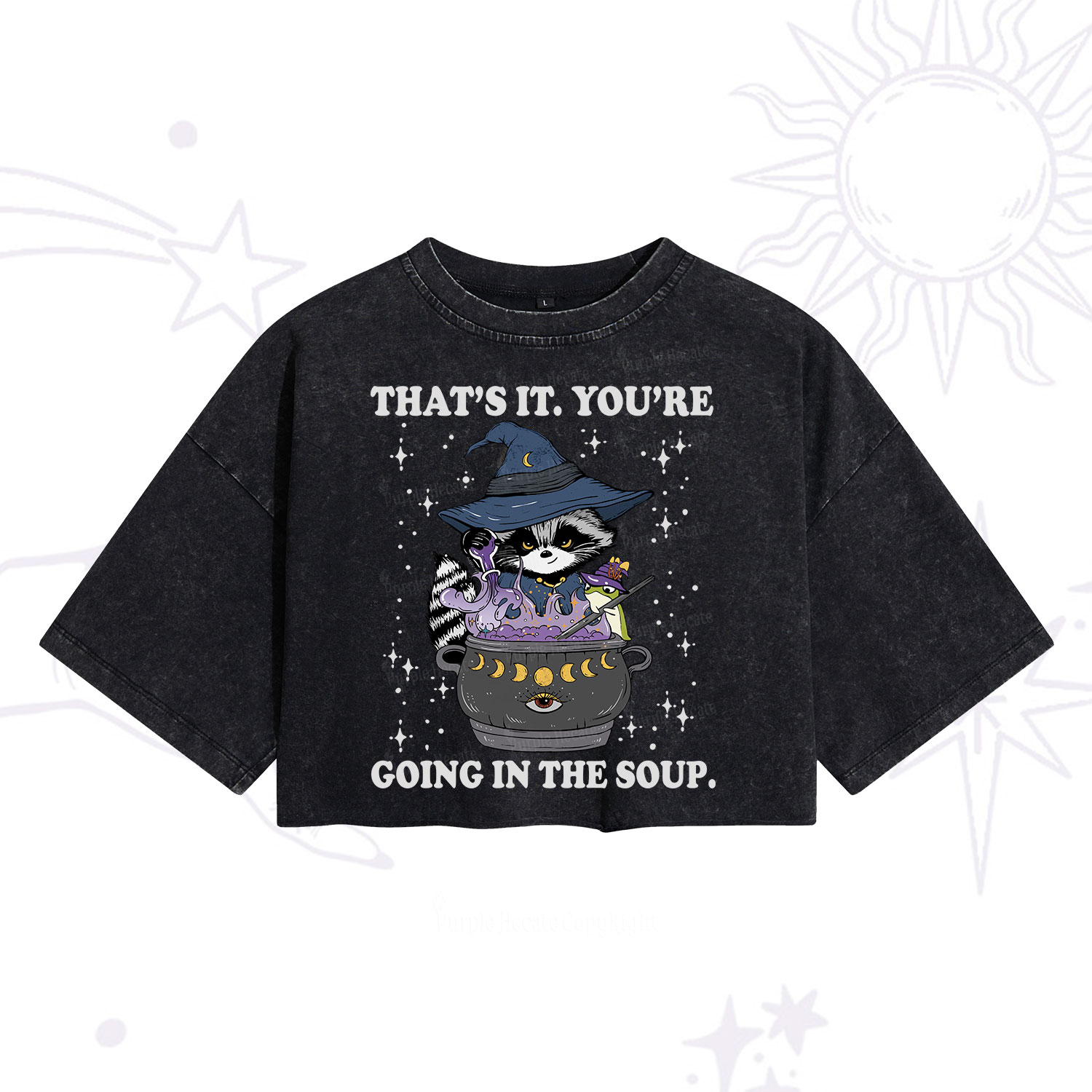 Purplehecate That's It You're Going In The Soup Washed Cropped T-Shirt