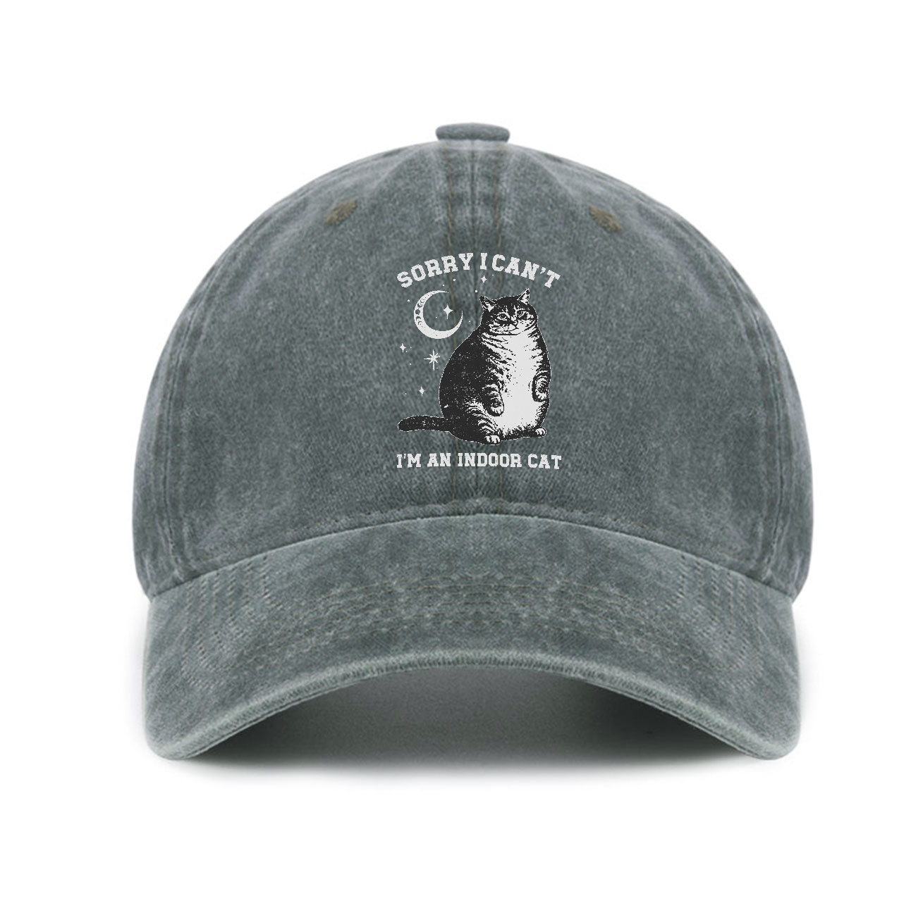 Purplehecate Sorry I Can't Go I'm an Indoor Cat Baseball Cap
