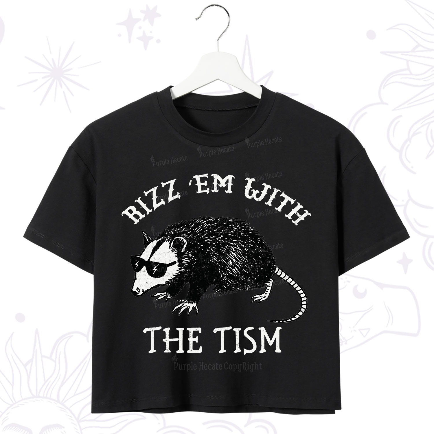 Purplehecate Rizz Em With The Tism Opossum Crop T-Shirt