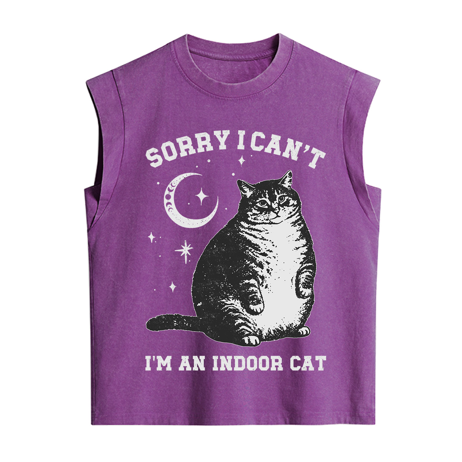 Purplehecate Sorry I Can't Go I'm an Indoor Cat Vintage Washed Tank