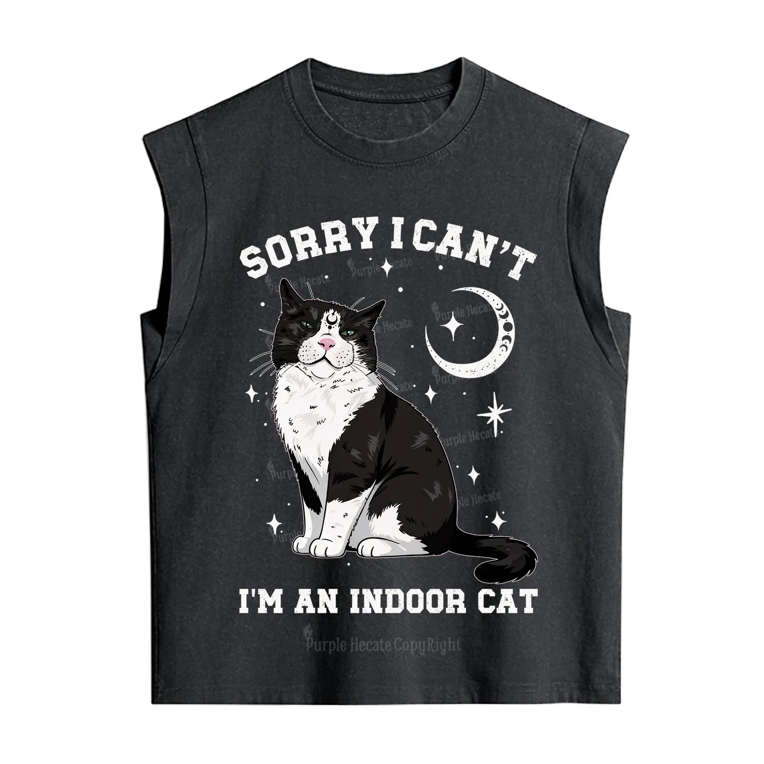 Purplehecate Sorry I Can't Go I'm an Indoor Cat Vintage Washed Tank