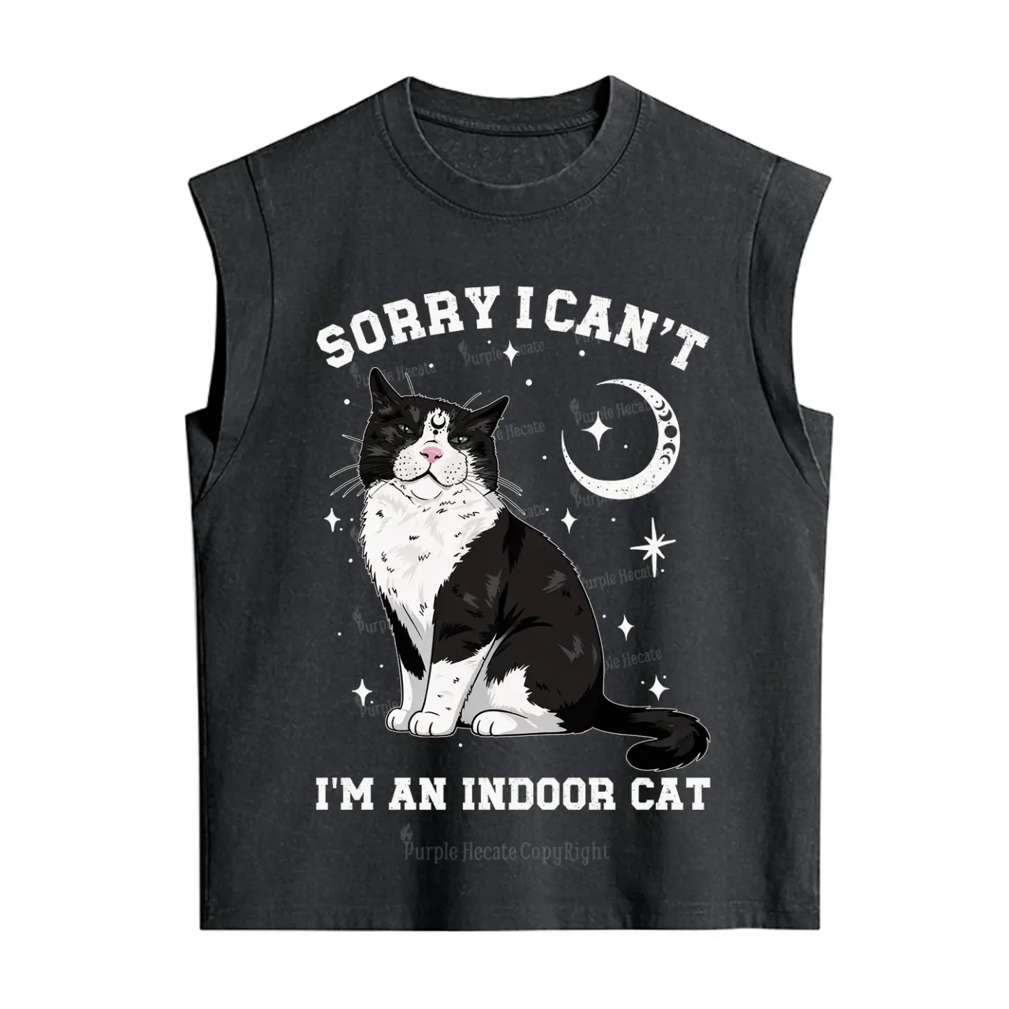 Purplehecate Sorry I Can't Go I'm an Indoor Cat Vintage Washed Tank