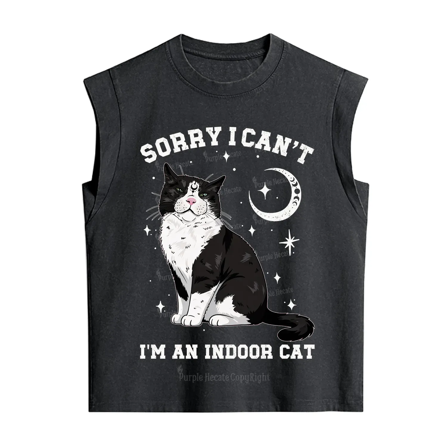 Purplehecate Sorry I Can't Go I'm an Indoor Cat Vintage Washed Tank
