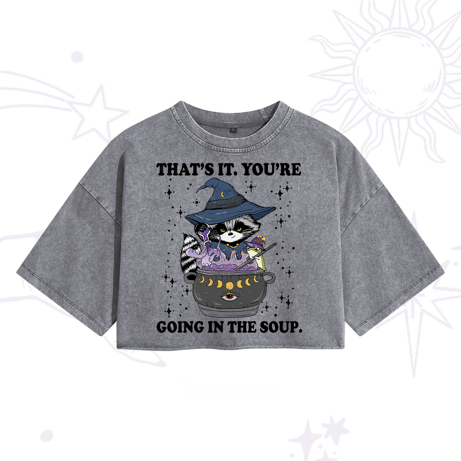 Purplehecate That's It You're Going In The Soup Washed Cropped T-Shirt
