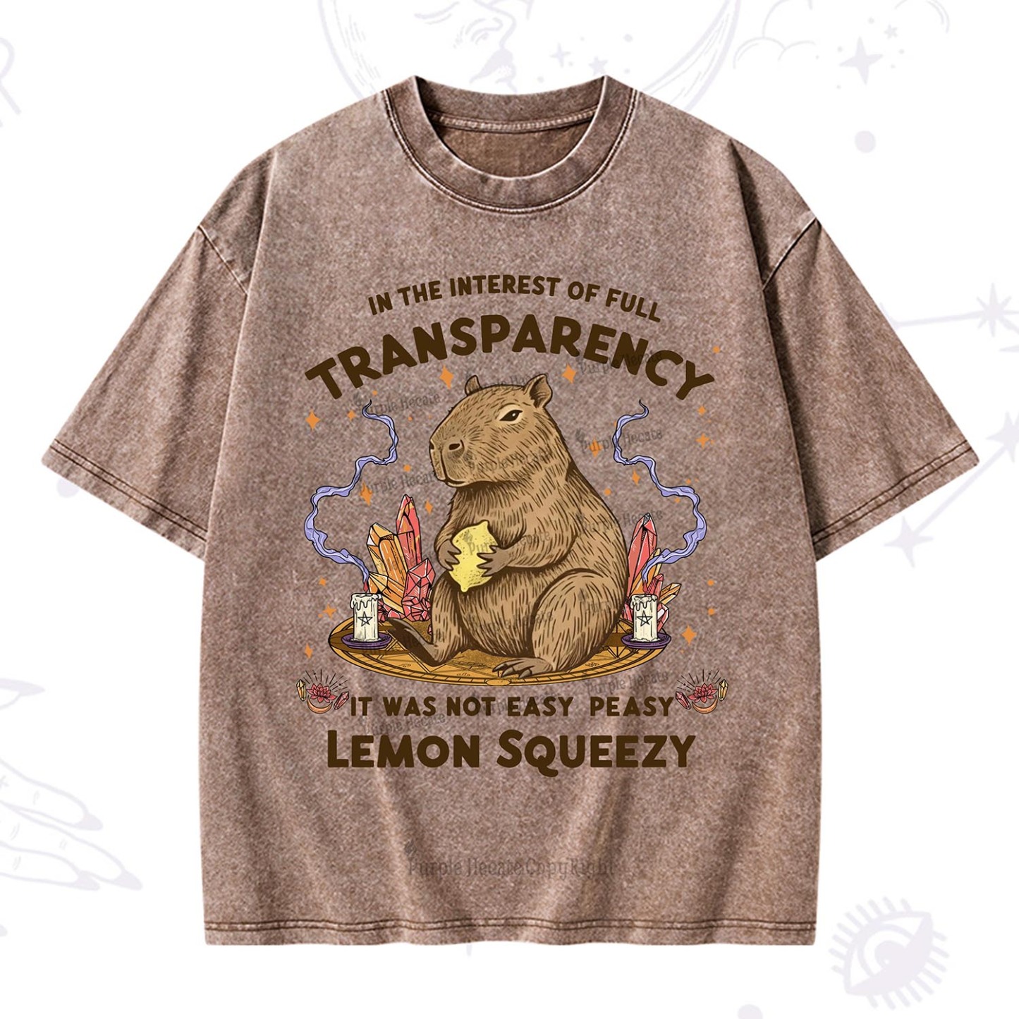 Purplehecate Funny Capybara Washed T-Shirt