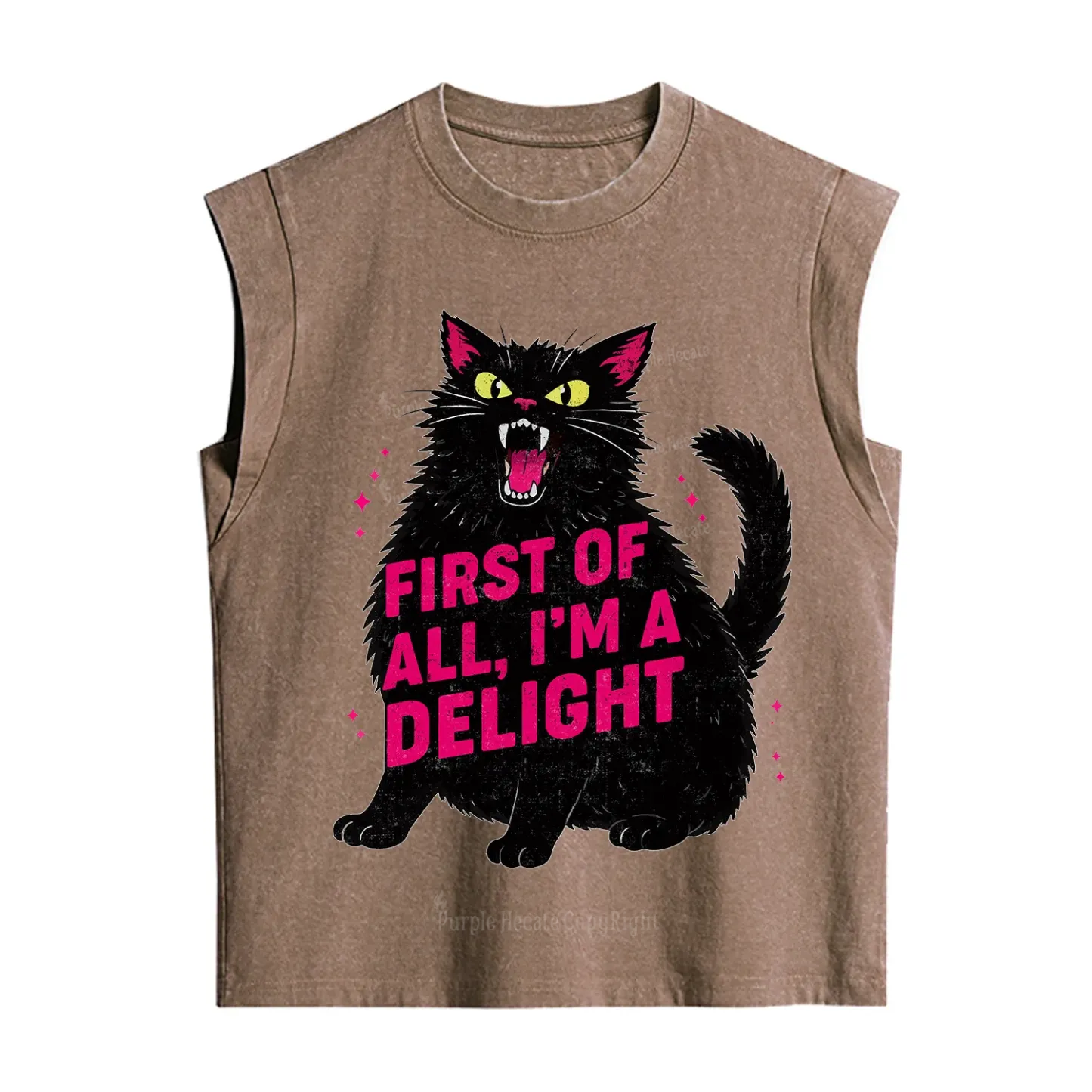 Purplehecate First Of All I'm A Delight Cat Vintage Washed Tank