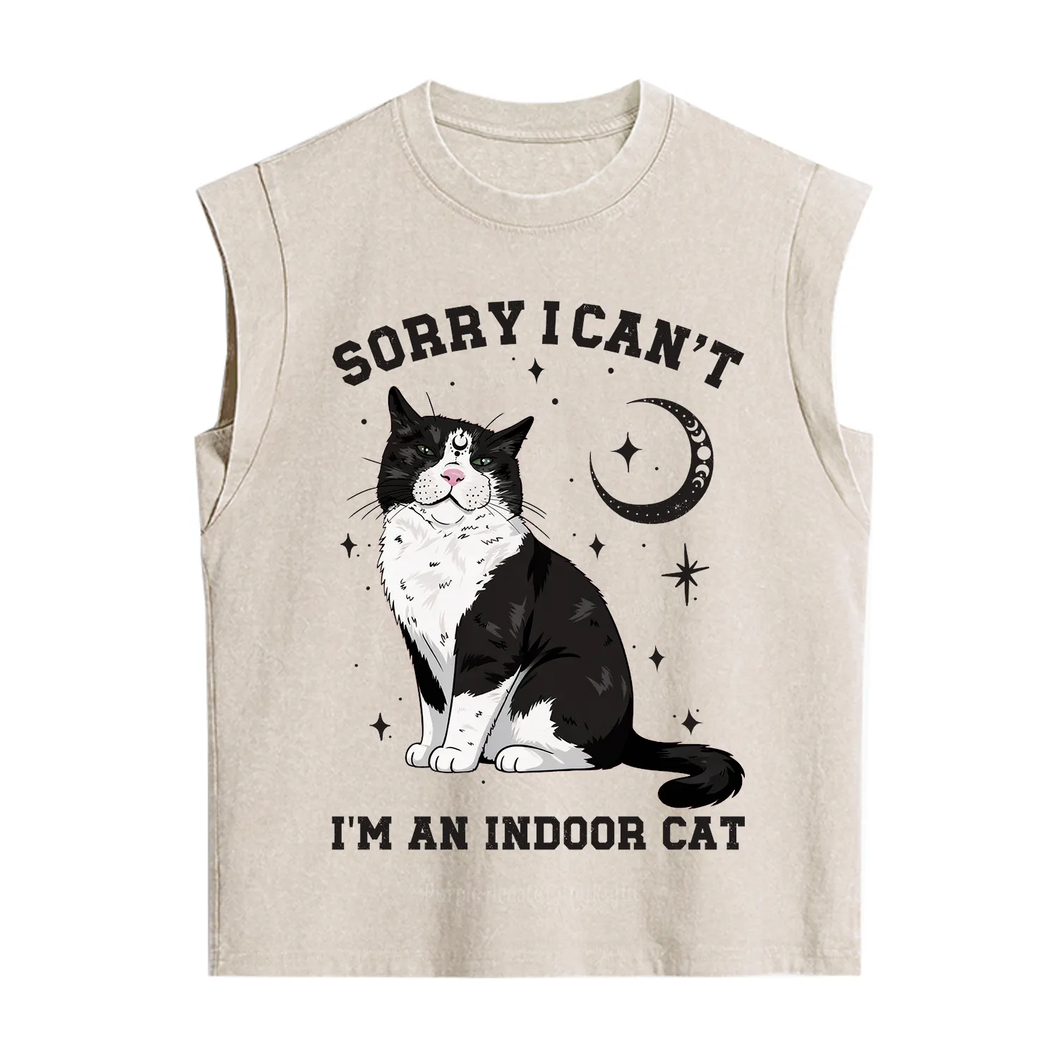 Purplehecate Sorry I Can't Go I'm an Indoor Cat Vintage Washed Tank