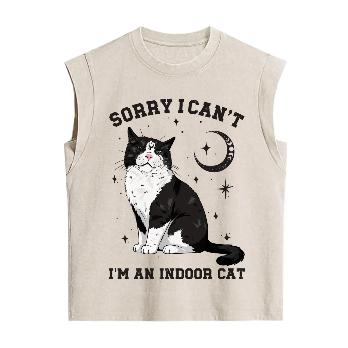 Purplehecate Sorry I Can't Go I'm an Indoor Cat Vintage Washed Tank