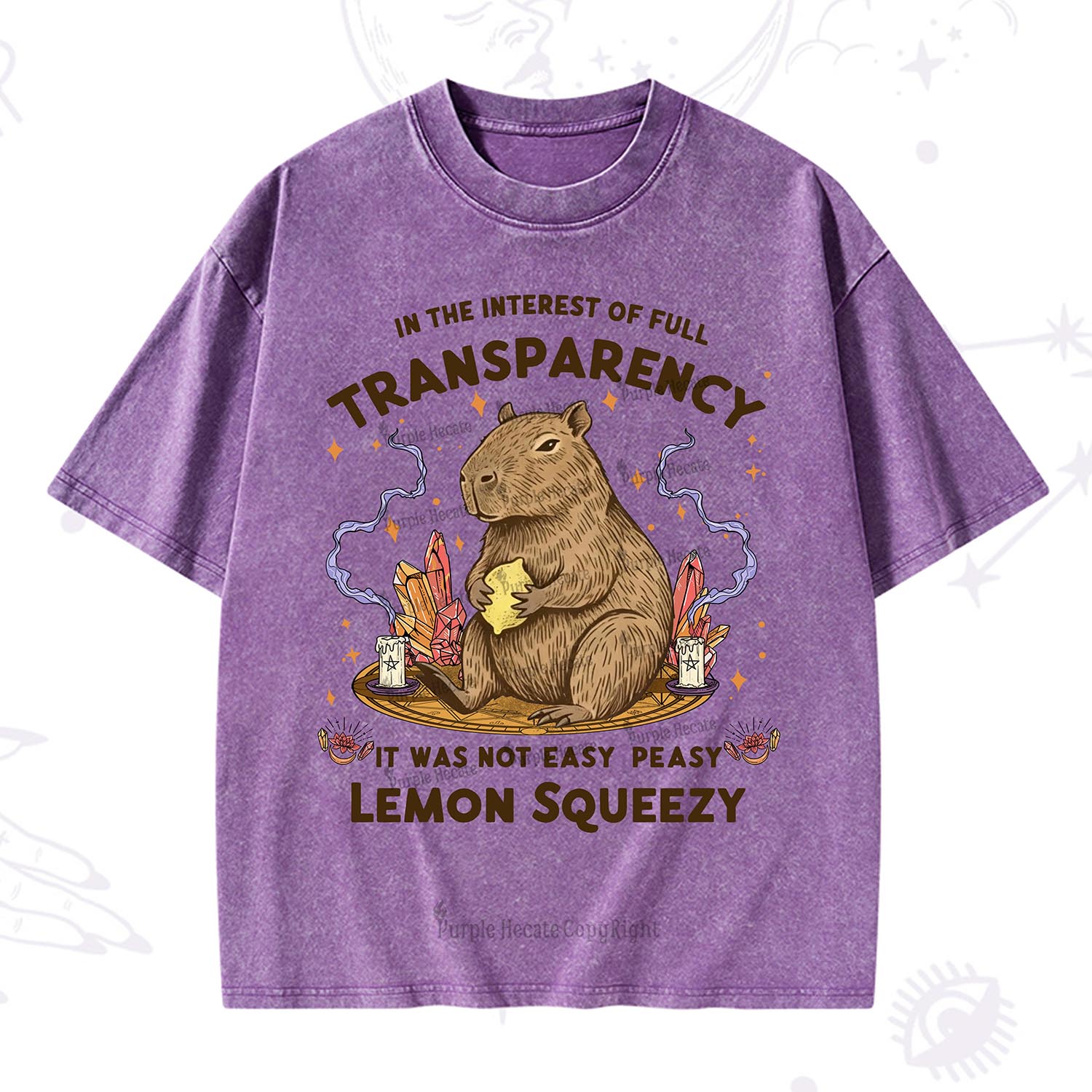 Purplehecate Funny Capybara Washed T-Shirt