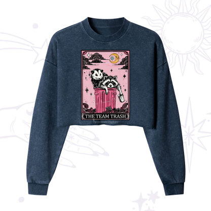 Purplehecate The Team Trash Raccoon & Possum Tarot Cropped Washed Sweatshirt