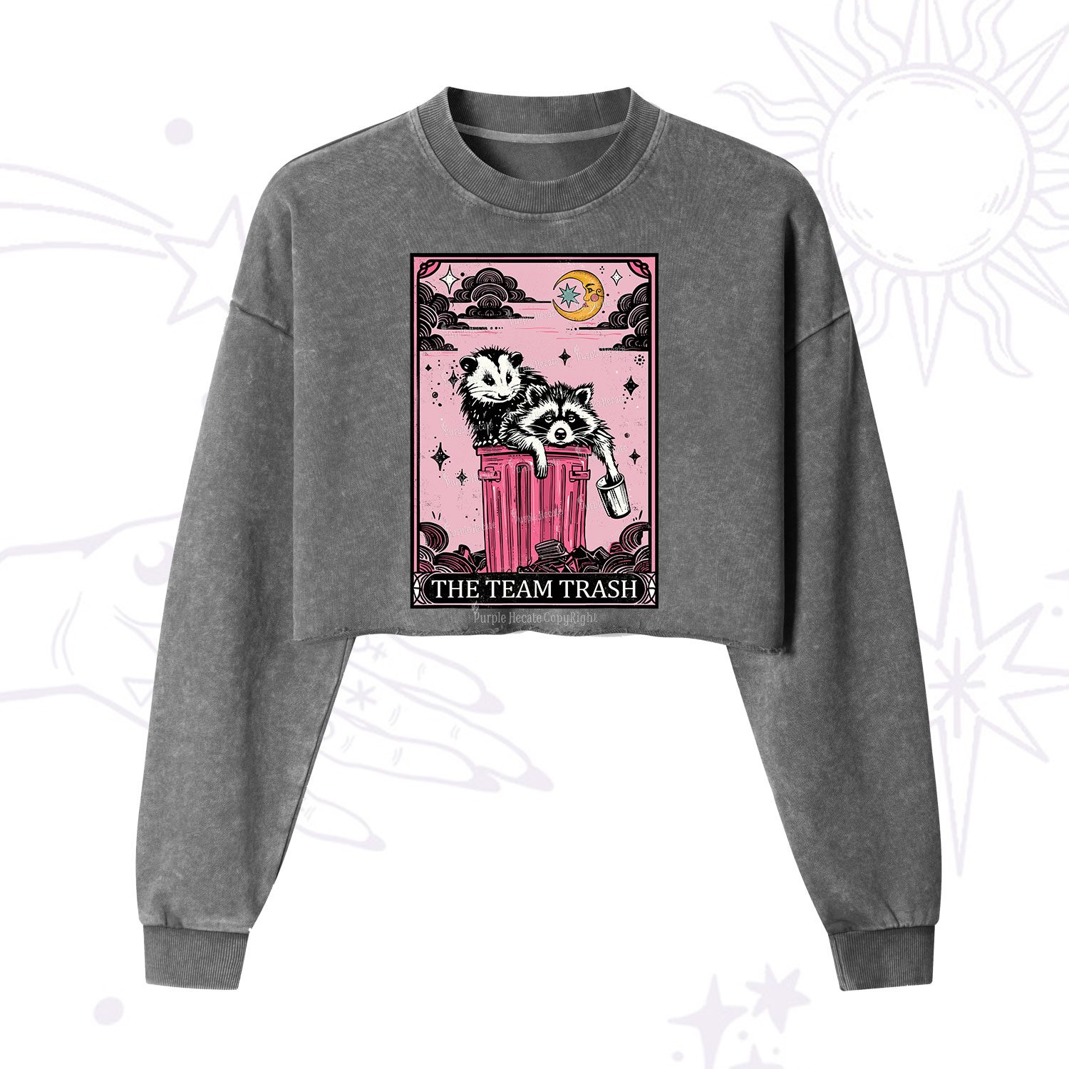 Purplehecate The Team Trash Raccoon & Possum Tarot Cropped Washed Sweatshirt