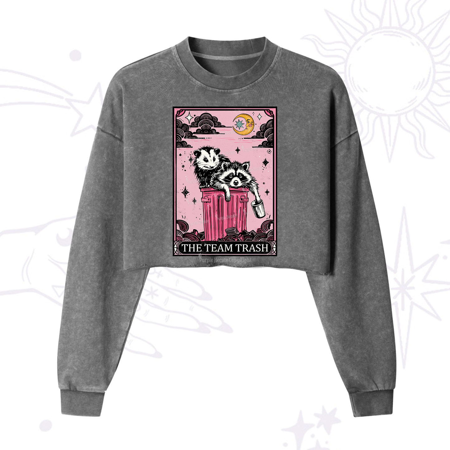 Purplehecate The Team Trash Raccoon & Possum Tarot Cropped Washed Sweatshirt