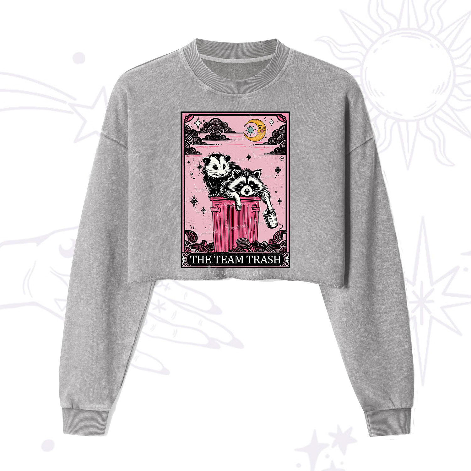 Purplehecate The Team Trash Raccoon & Possum Tarot Cropped Washed Sweatshirt