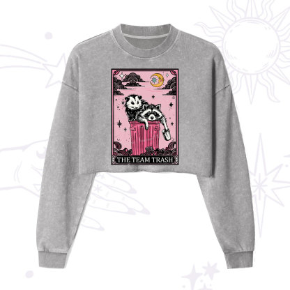 Purplehecate The Team Trash Raccoon & Possum Tarot Cropped Washed Sweatshirt