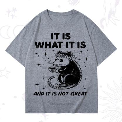 Purplehecate Possum It Is What It Is T-Shirt