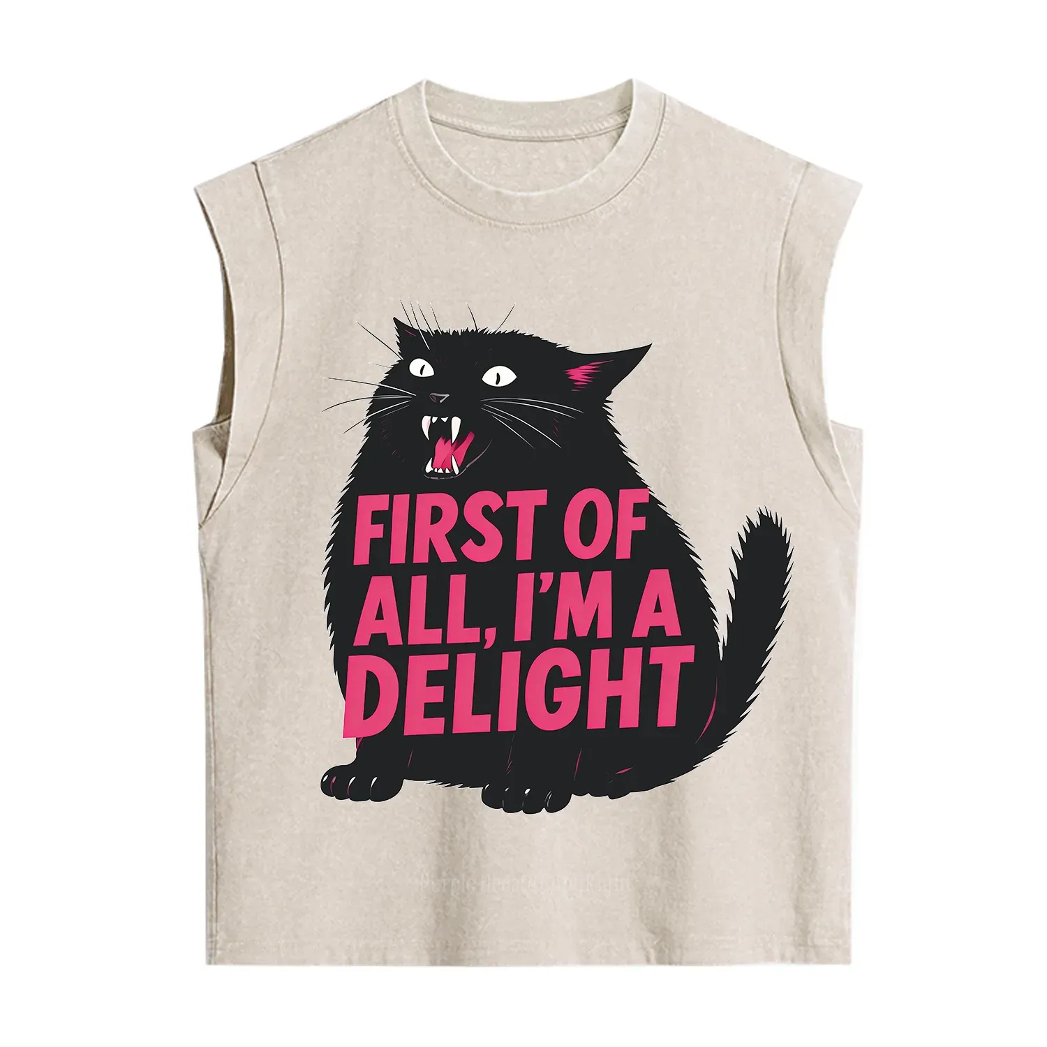 Purplehecate First Of All I'm A Delight Cat Vintage Washed Tank