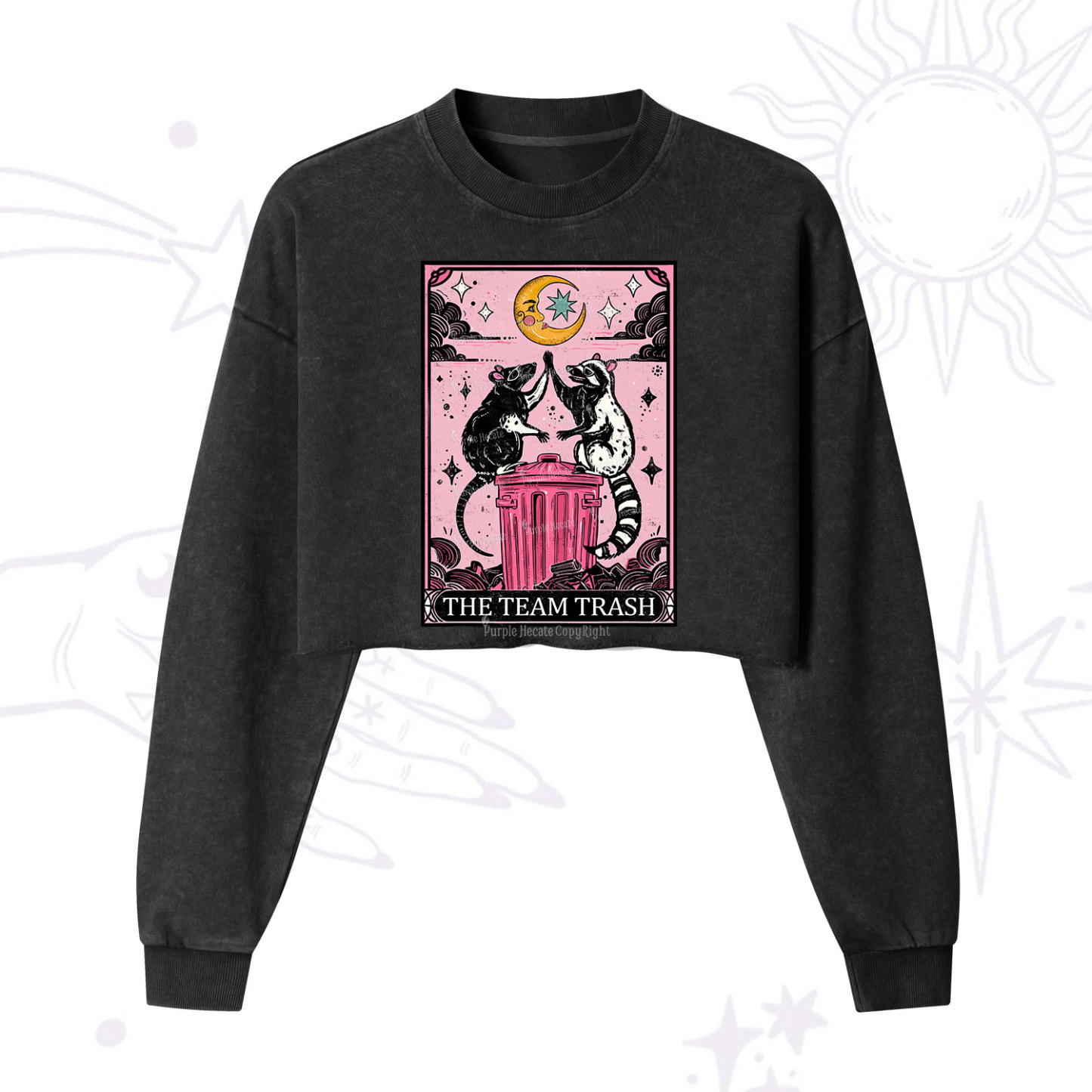 Purplehecate The Team Trash Opossum Tarot Cropped Washed Sweatshirt