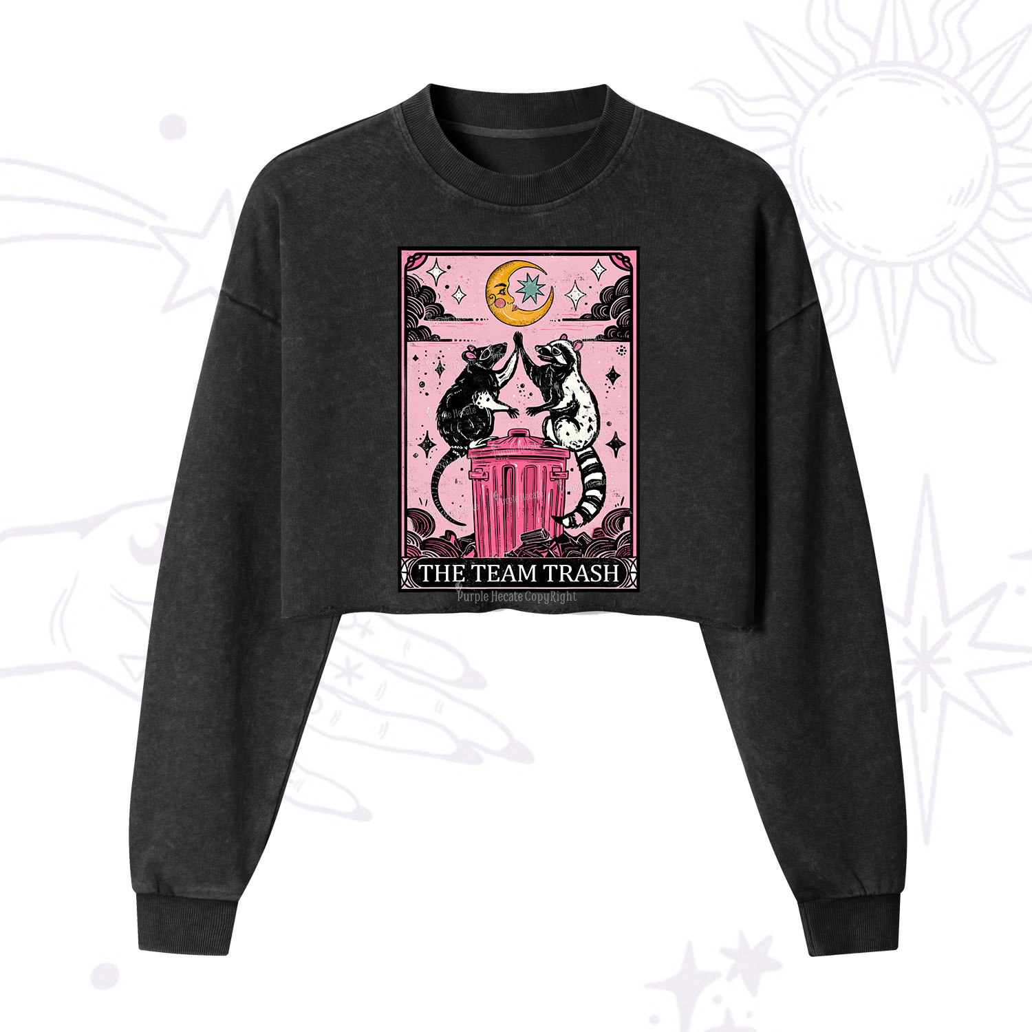 Purplehecate The Team Trash Opossum Tarot Cropped Washed Sweatshirt