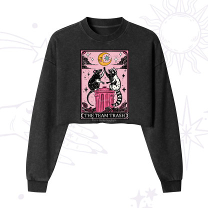 Purplehecate The Team Trash Opossum Tarot Cropped Washed Sweatshirt