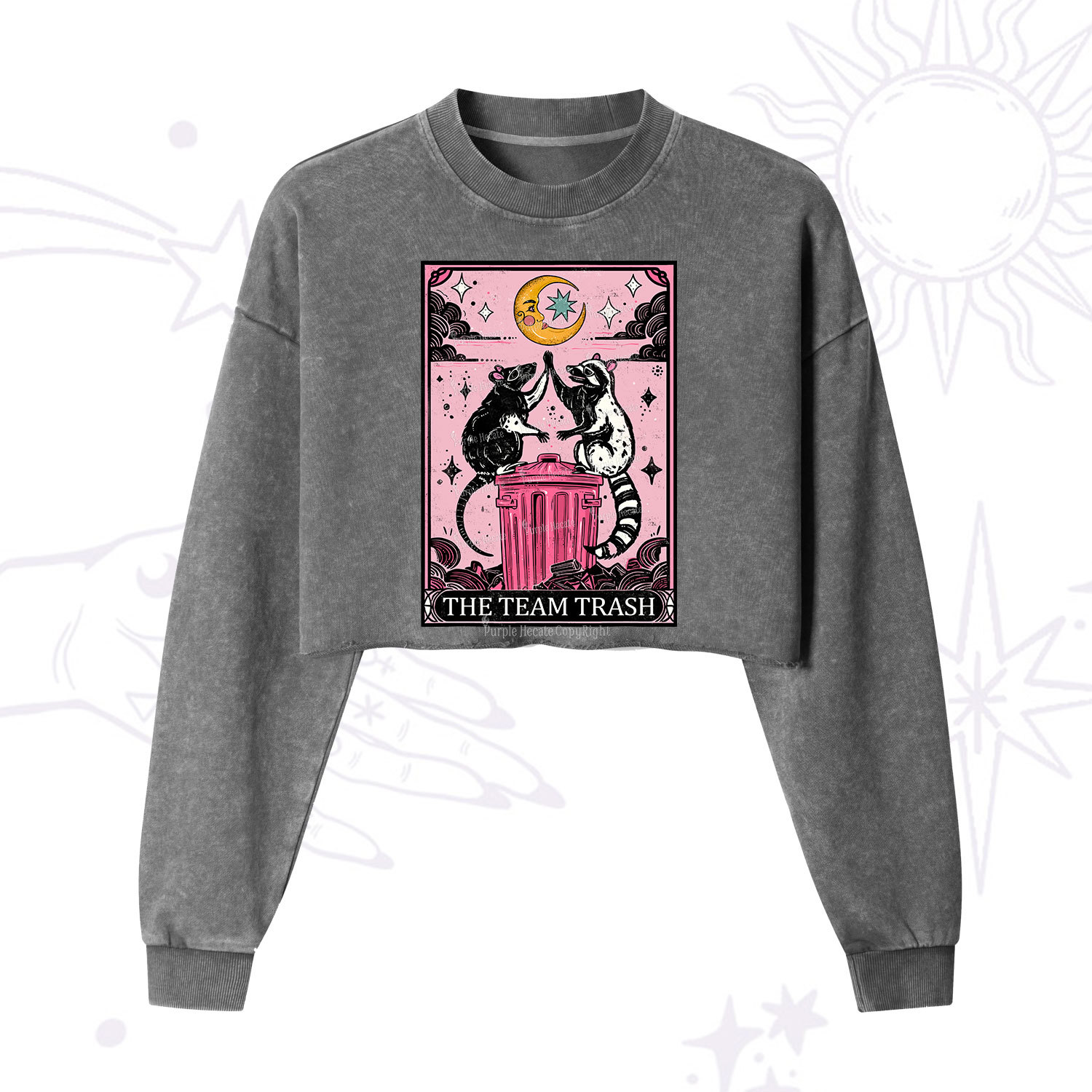 Purplehecate The Team Trash Opossum Tarot Cropped Washed Sweatshirt