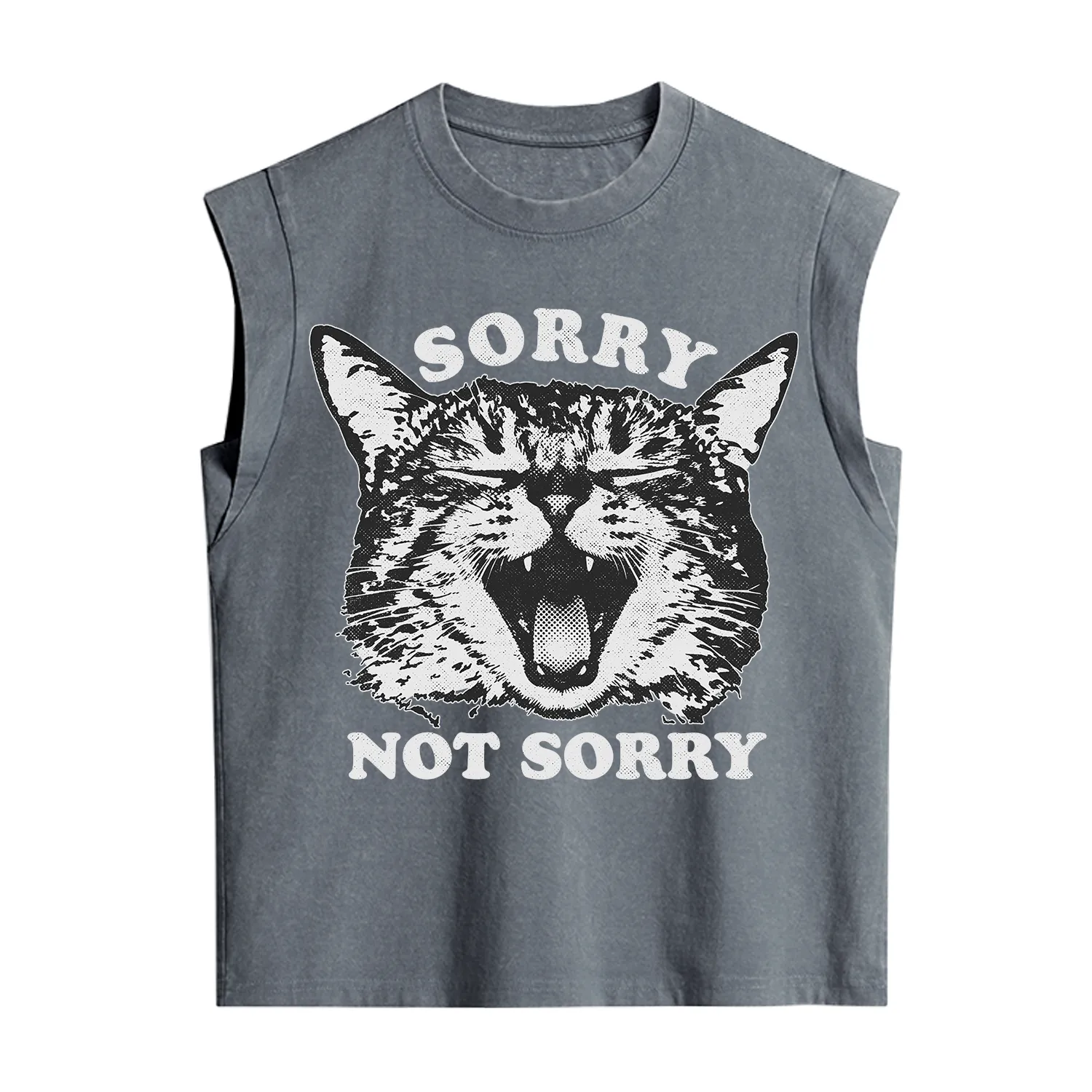 Purplehecate Sorry Not Sorry Funny Cat Vintage Washed Tank