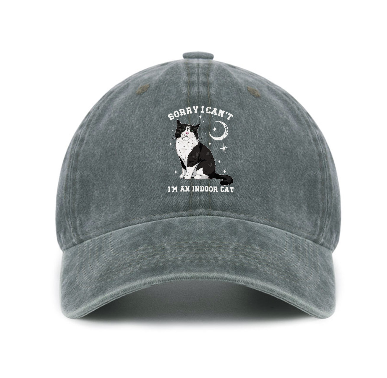 Purplehecate Sorry I Can't Go I'm an Indoor Cat Baseball Cap