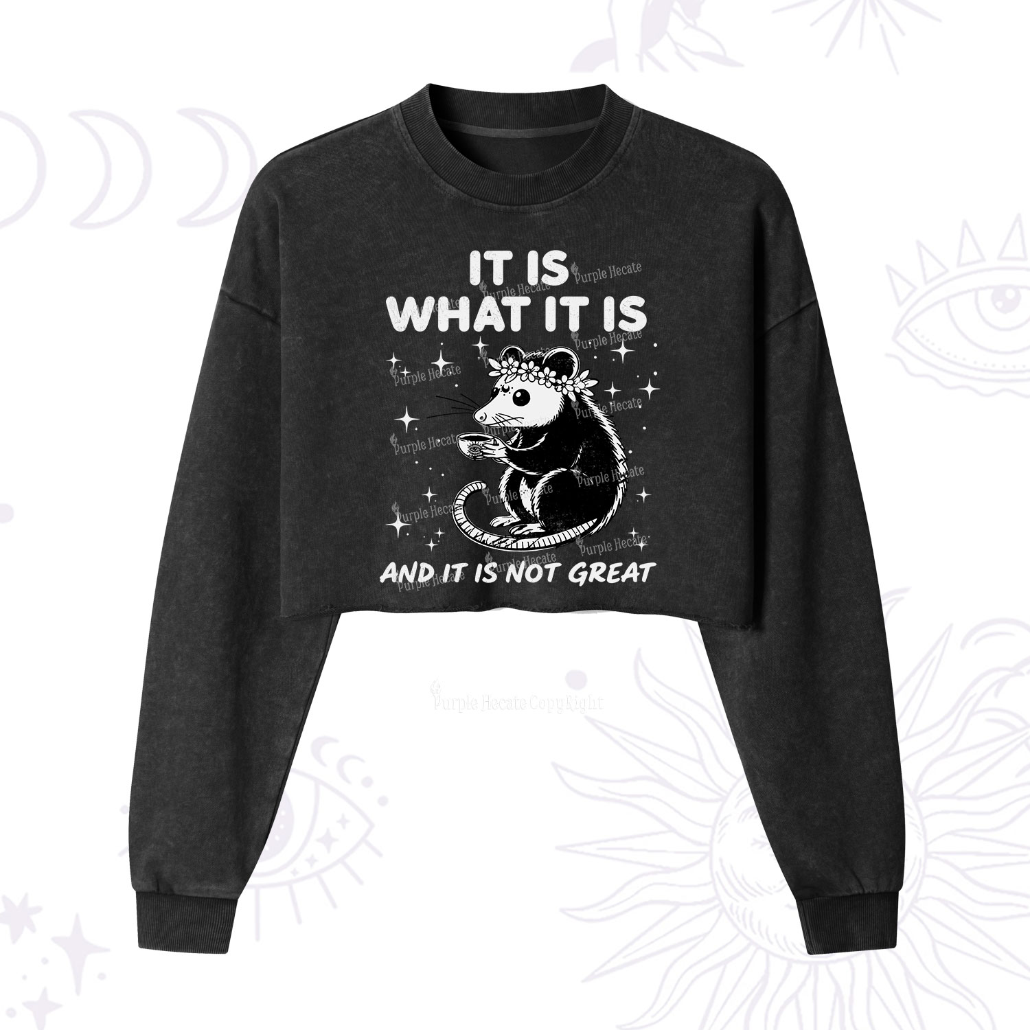 Purplehecate Possum It Is What It Is Cropped Washed Sweatshirt