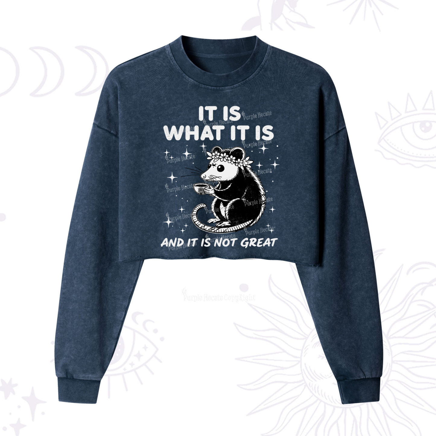 Purplehecate Possum It Is What It Is Cropped Washed Sweatshirt