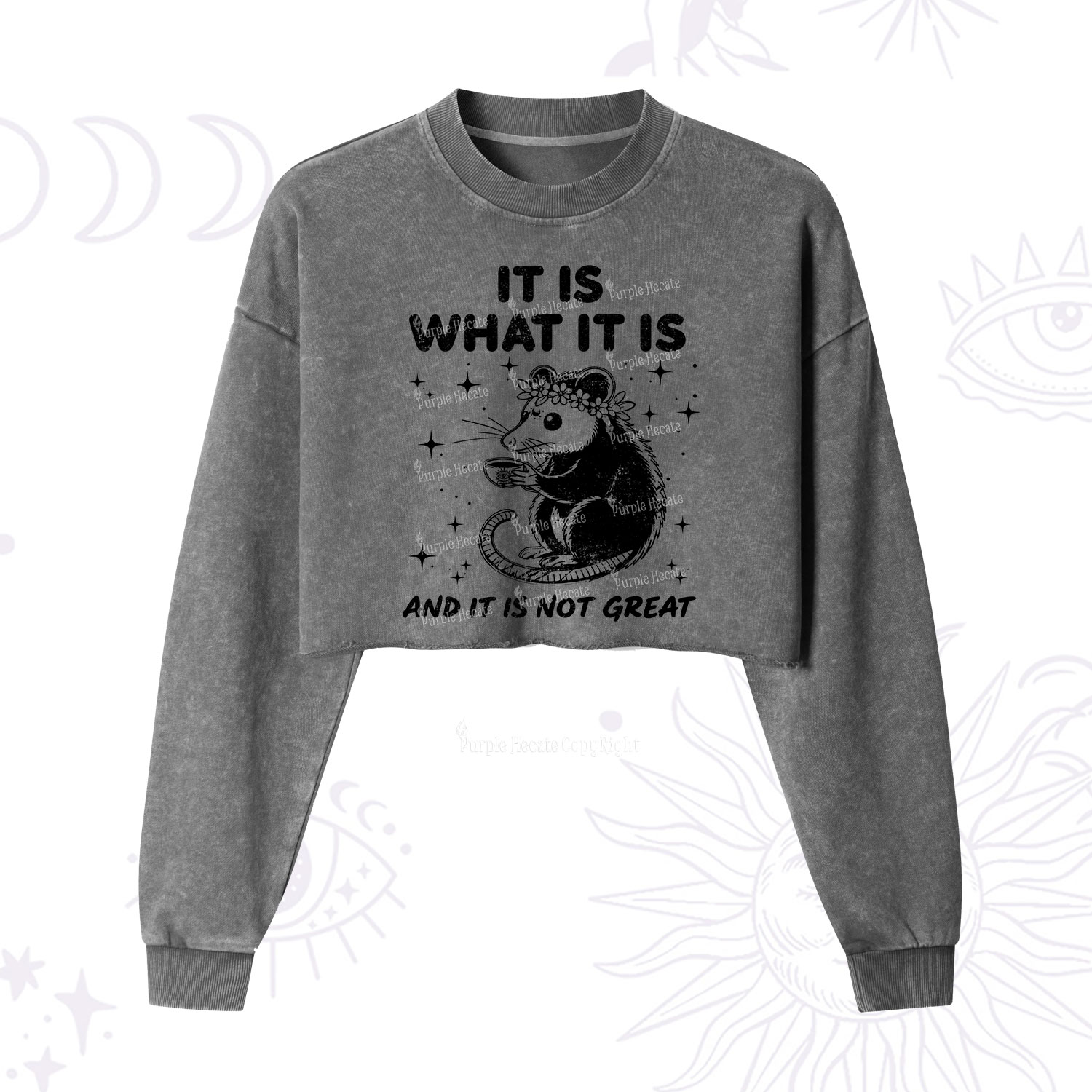 Purplehecate Possum It Is What It Is Cropped Washed Sweatshirt