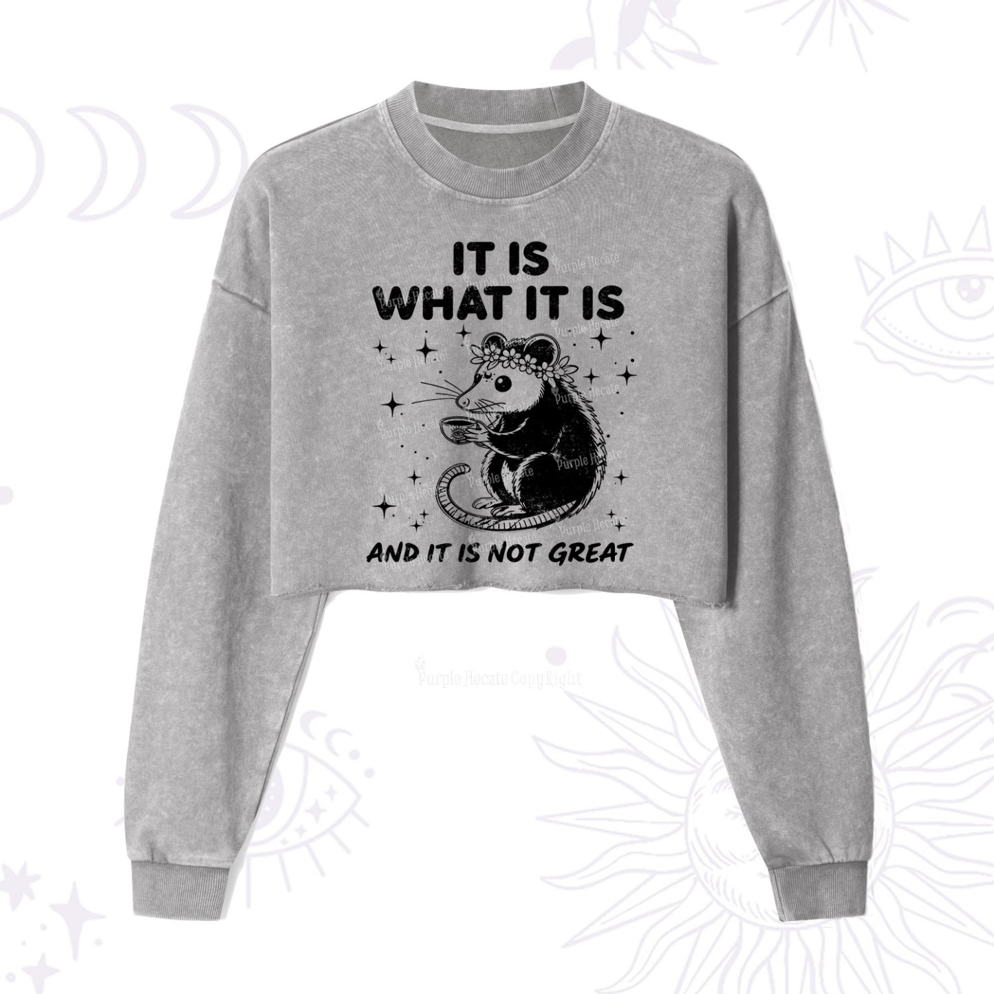 Purplehecate Possum It Is What It Is Cropped Washed Sweatshirt