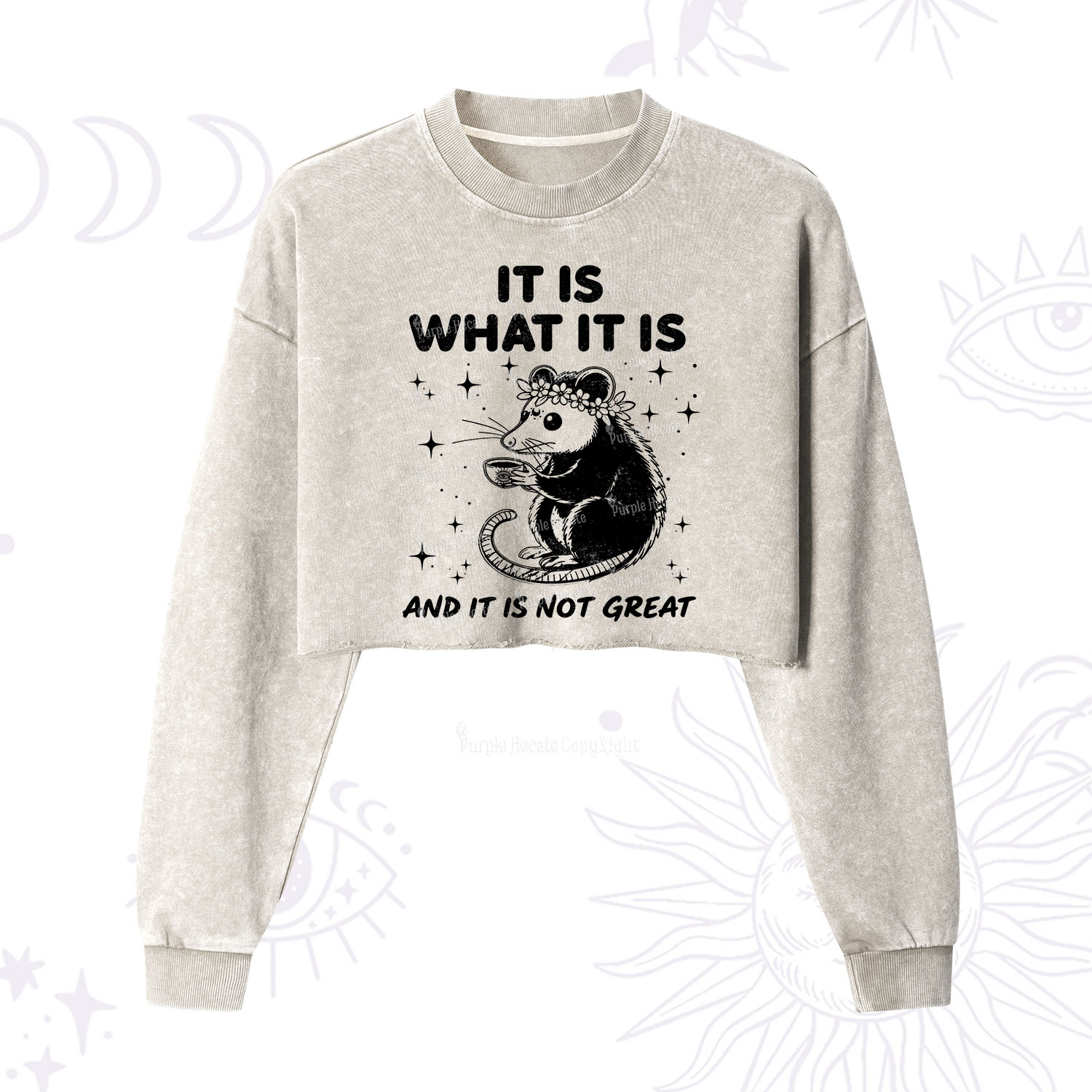 Purplehecate Possum It Is What It Is Cropped Washed Sweatshirt