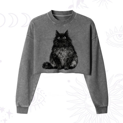 Purplehecate Cute Black Fluffy Cat Cropped Washed Sweatshirt