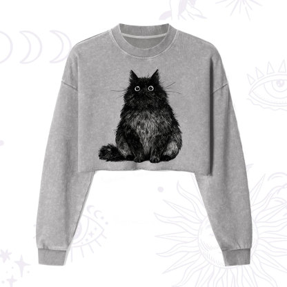 Purplehecate Cute Black Fluffy Cat Cropped Washed Sweatshirt