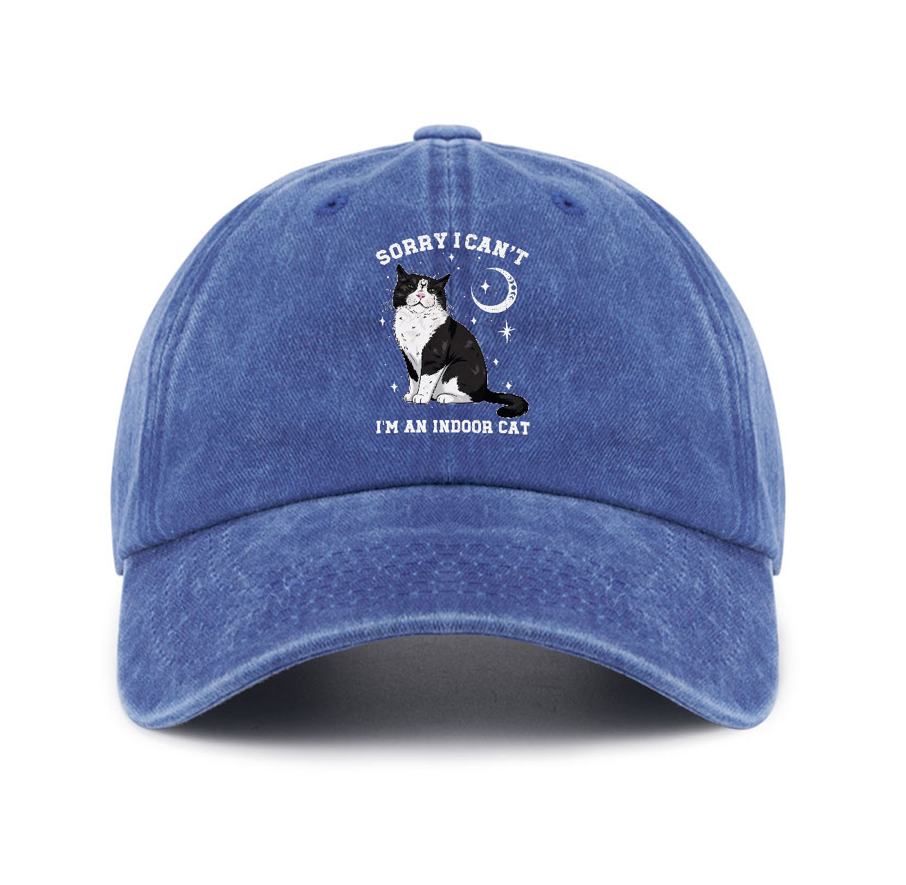 Purplehecate Sorry I Can't Go I'm an Indoor Cat Baseball Cap