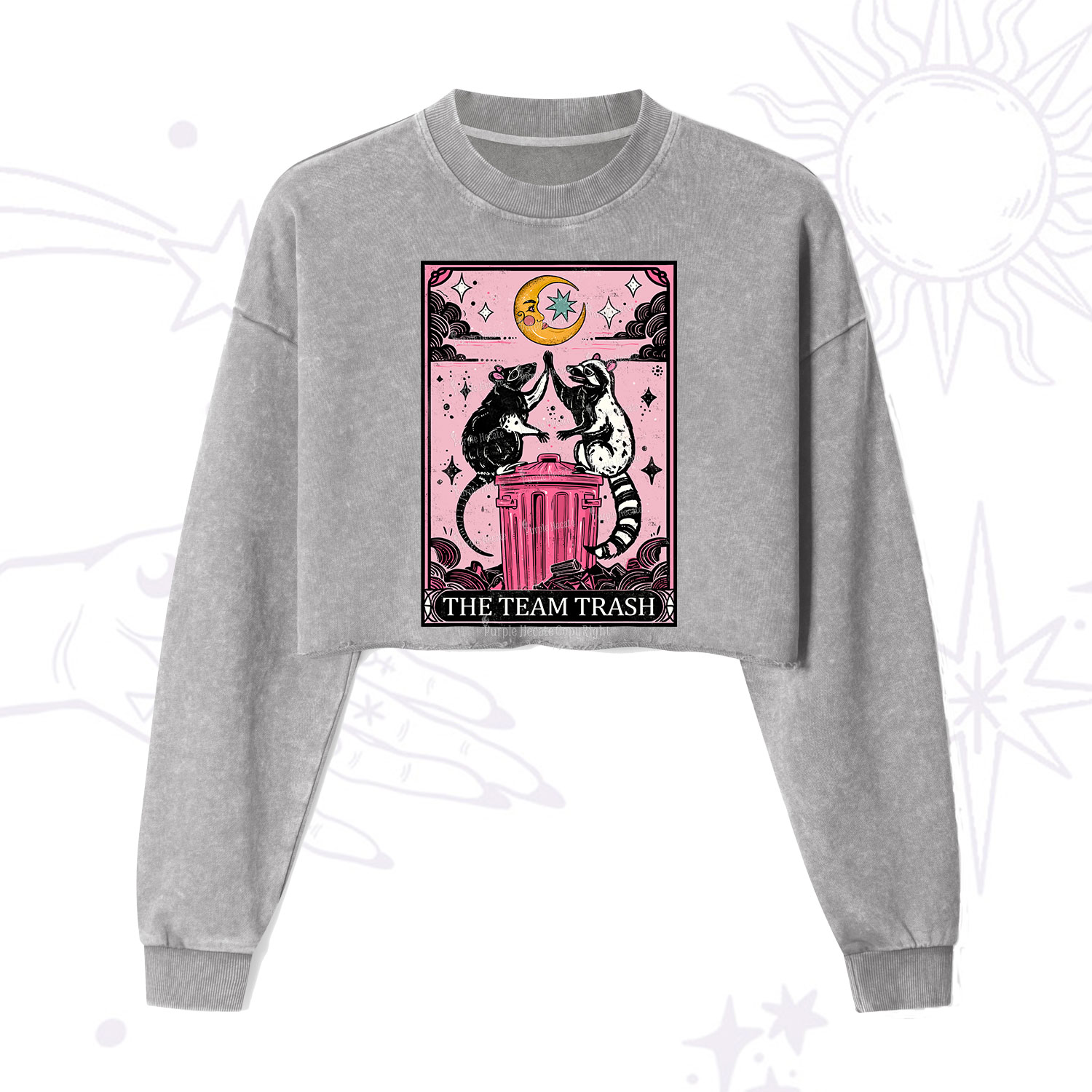 Purplehecate The Team Trash Opossum Tarot Cropped Washed Sweatshirt