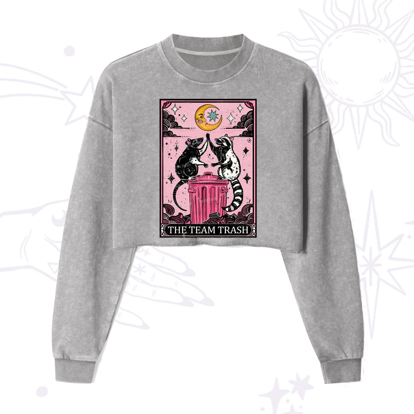 Purplehecate The Team Trash Opossum Tarot Cropped Washed Sweatshirt