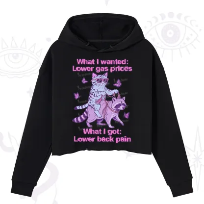 Purplehecate Lower Gas Prices Lower Back Pain Cat Crop Hoodie