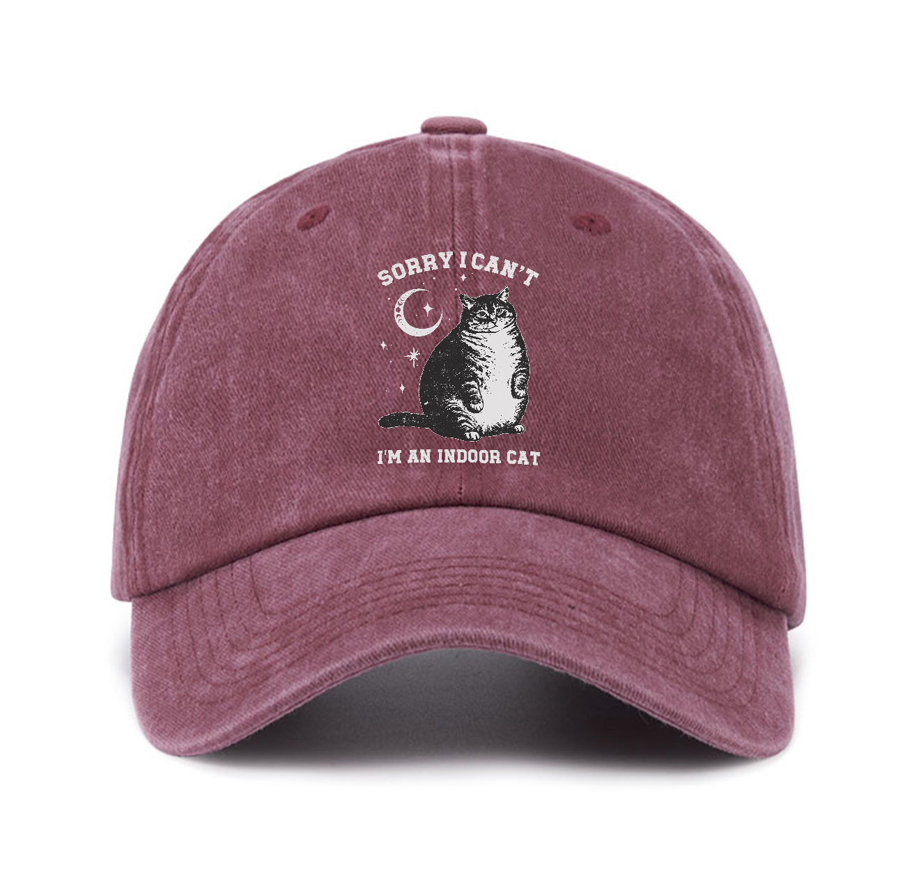 Purplehecate Sorry I Can't Go I'm an Indoor Cat Baseball Cap