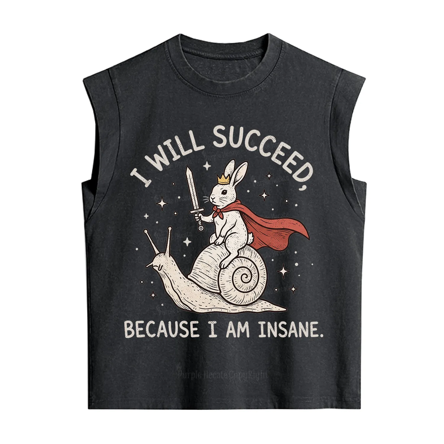 Purplehecate I Will Succeed Because I Am Insane Vintage Washed Tank