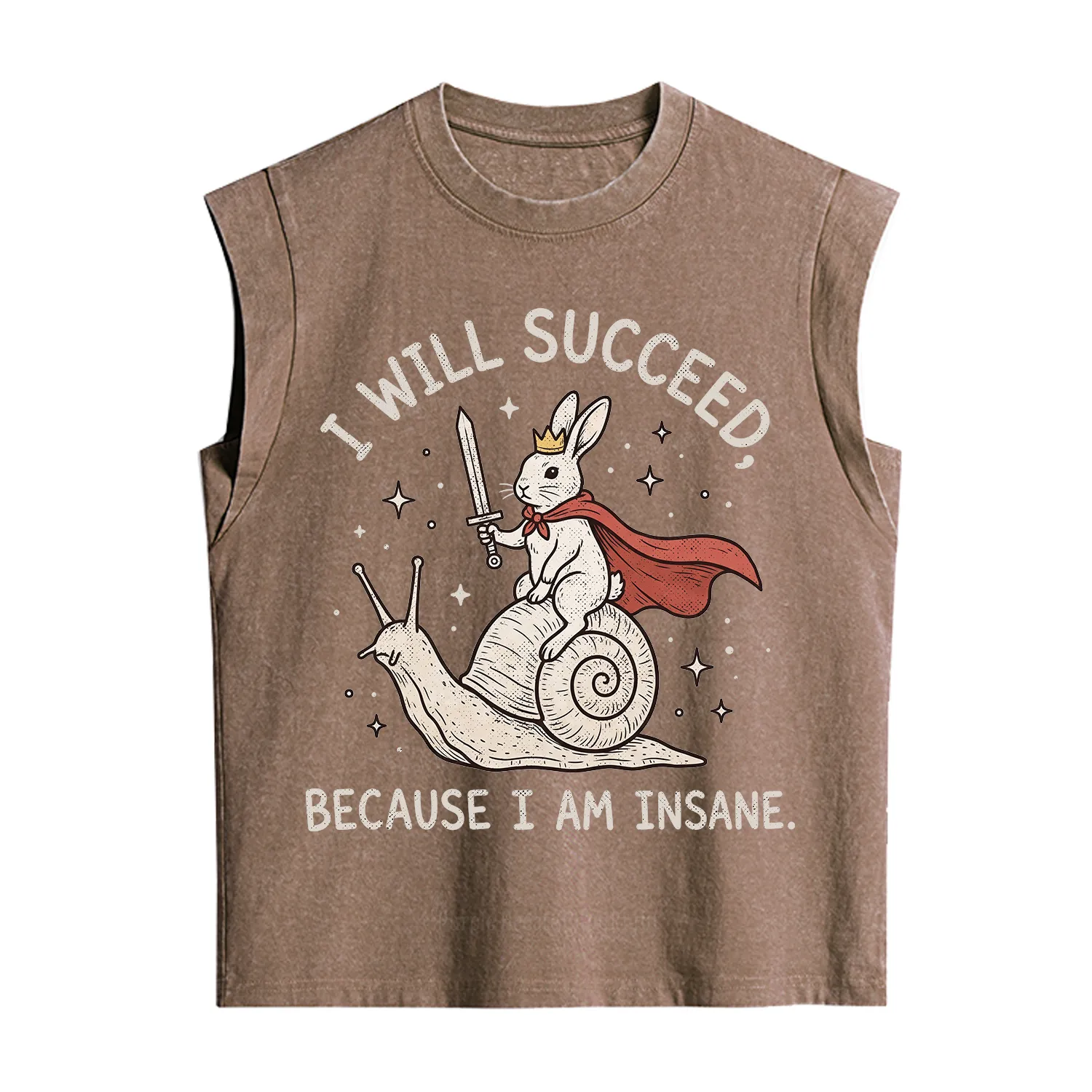 Purplehecate I Will Succeed Because I Am Insane Vintage Washed Tank