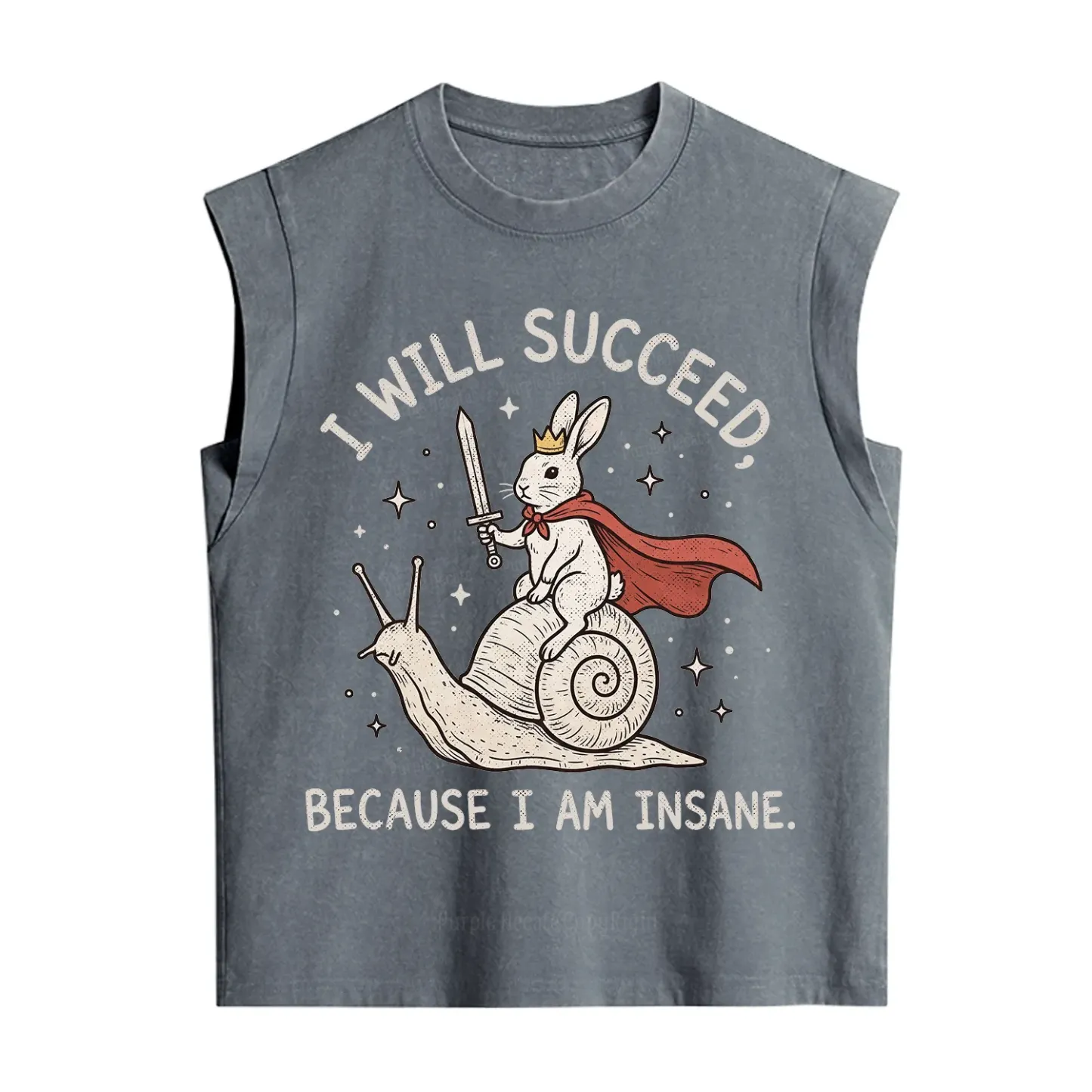 Purplehecate I Will Succeed Because I Am Insane Vintage Washed Tank