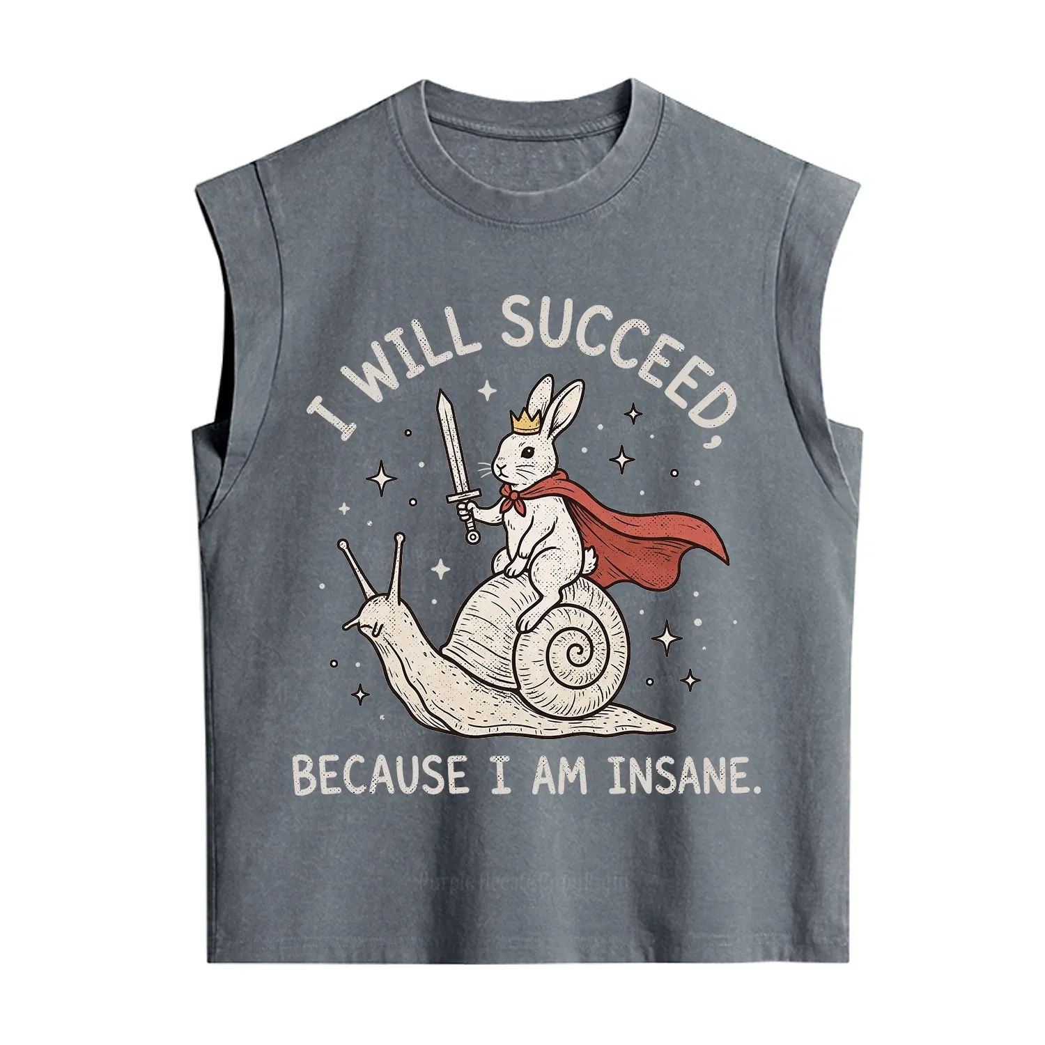 Purplehecate I Will Succeed Because I Am Insane Vintage Washed Tank